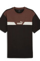 REMERA HOMBRE PUMA POWER COLORBLOCK TEE Marron