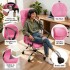 Silla de escritorio Oficina Sillon Ejecutiva Ergonomica giratoria Tela Mesh IMBACK Color Rosa Silla de escritorio Oficina Sillon Ejecutiva Ergonomica giratoria Tela Mesh IMBACK Color Rosa