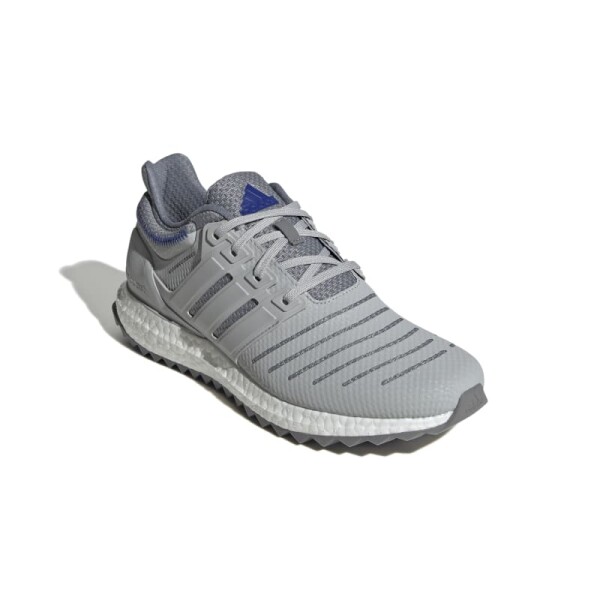 Championes Adidas Ultraboost DNA XXII Gris
