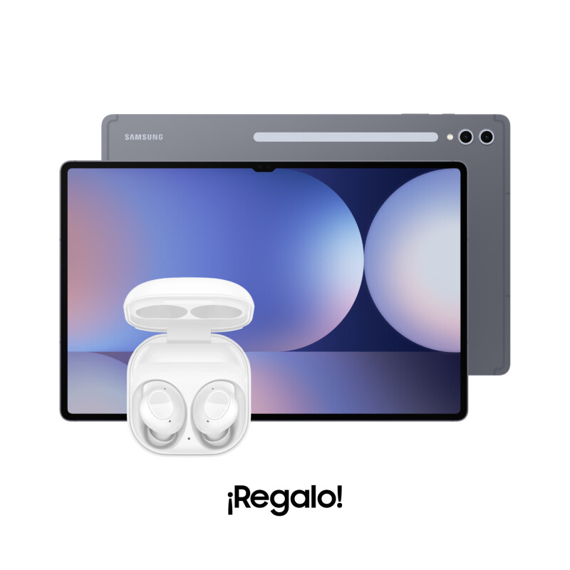 Samsung Galaxy Tab S10 Ultra 256 GB + Galaxy Buds FE de Regalo Grey