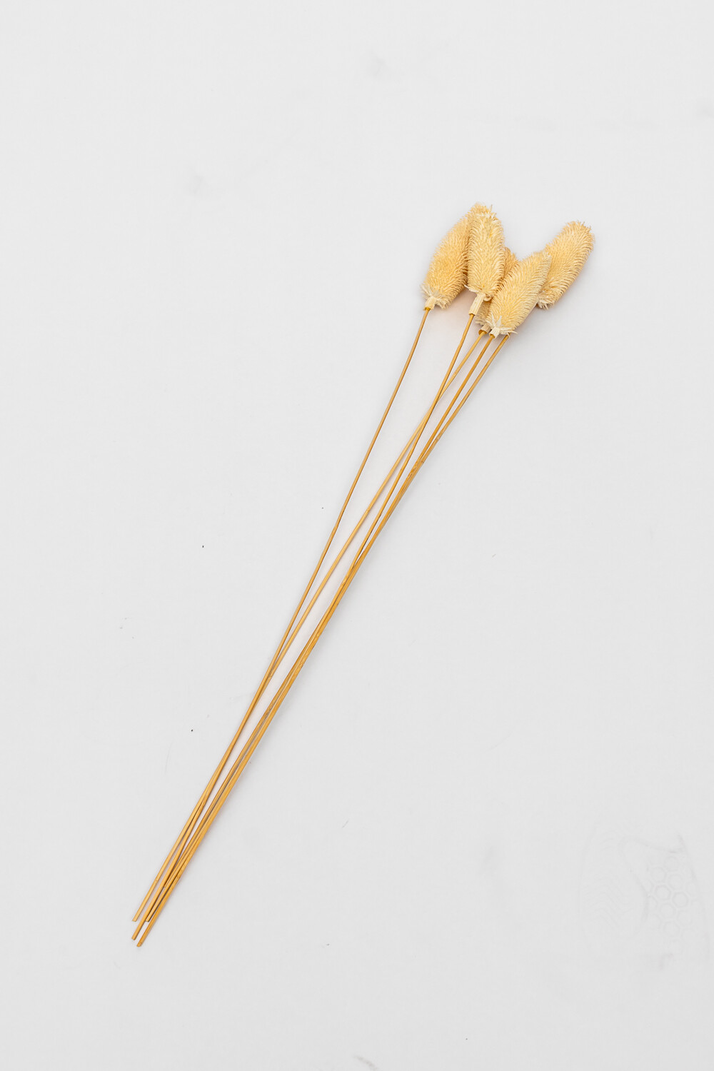 Deco Floral Pennisetum Color Unico