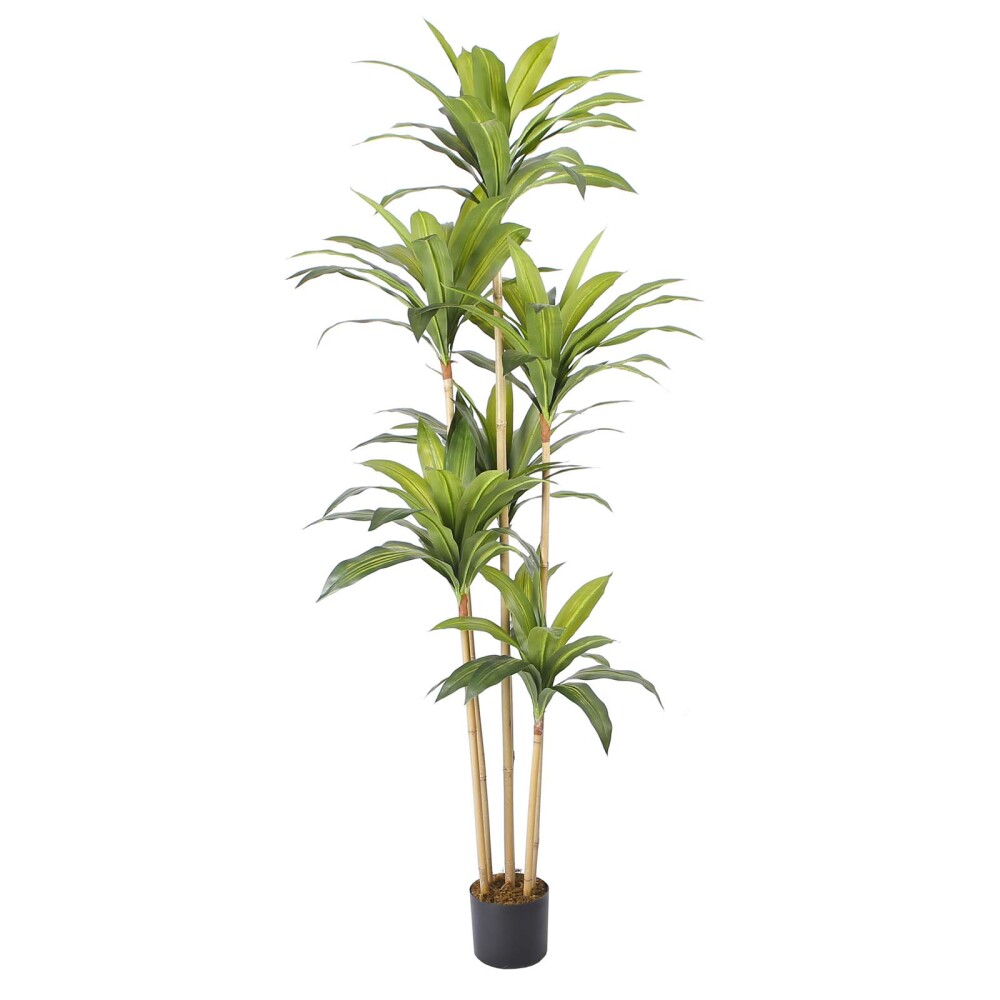 DRACAENA ARTIFICIAL Y8 VERDE ARTIFICIAL Y8066-117-6TS-N