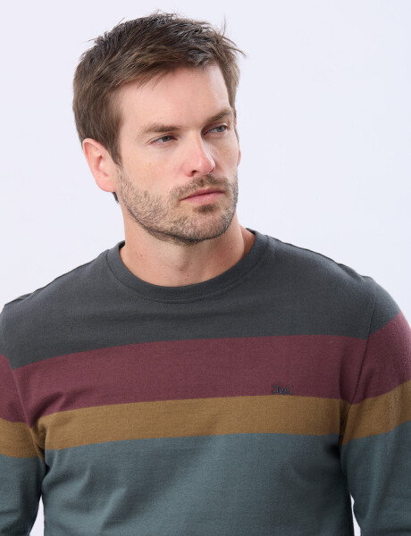 REMERA RAYADA DE ALGODÓN GRIS