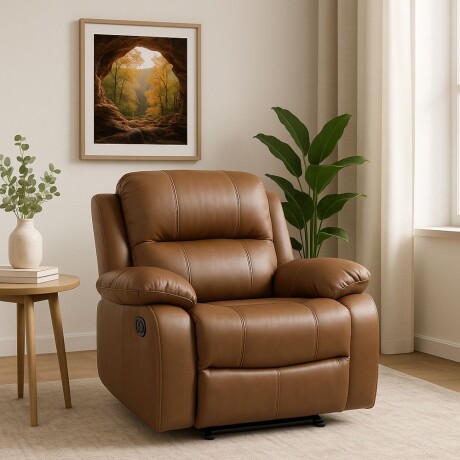Sillon reclinable 1 cuerpo Sillon reclinable 1 cuerpo