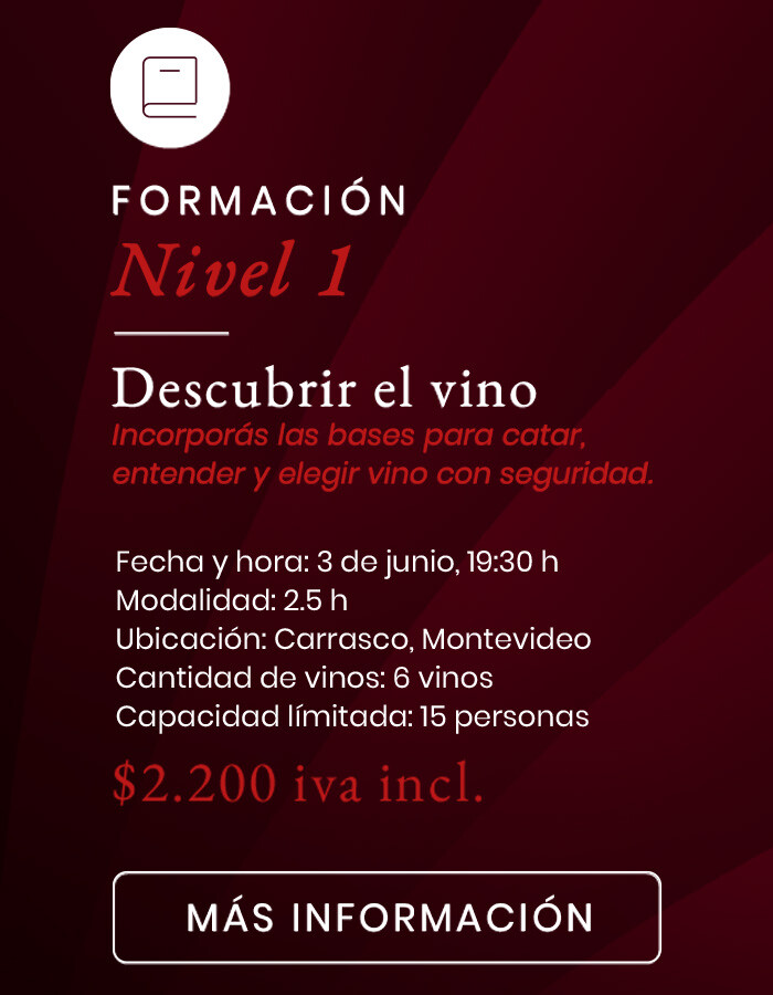 Experiencias - NIVEL 1