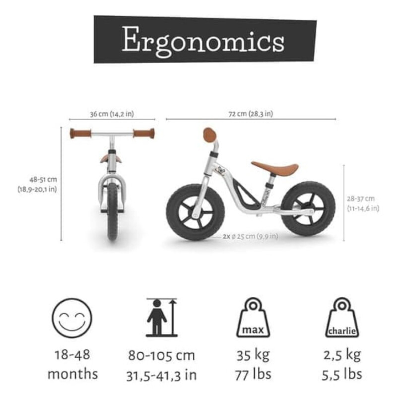 Bicicleta Aprendizaje Charlie Plateada Bicicleta Aprendizaje Charlie Plateada
