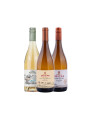 Pack Selección Variedades Protagonistas x3 Albariños Pack Selección Variedades Protagonistas x3 Albariños
