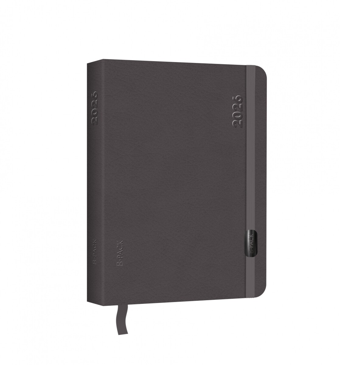 AGENDA RAW 15X21 DIARIA BPACK 