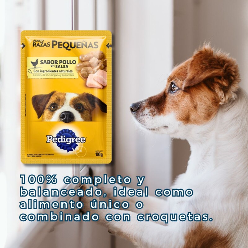 PEDIGREE EN SALSA RAZA PEQUEÑA POLLO 100 GRAMOS PEDIGREE EN SALSA RAZA PEQUEÑA POLLO 100 GRAMOS