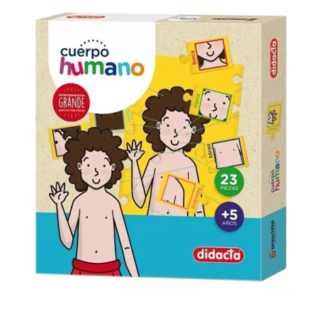 Cuerpo Humano Cuerpo Humano