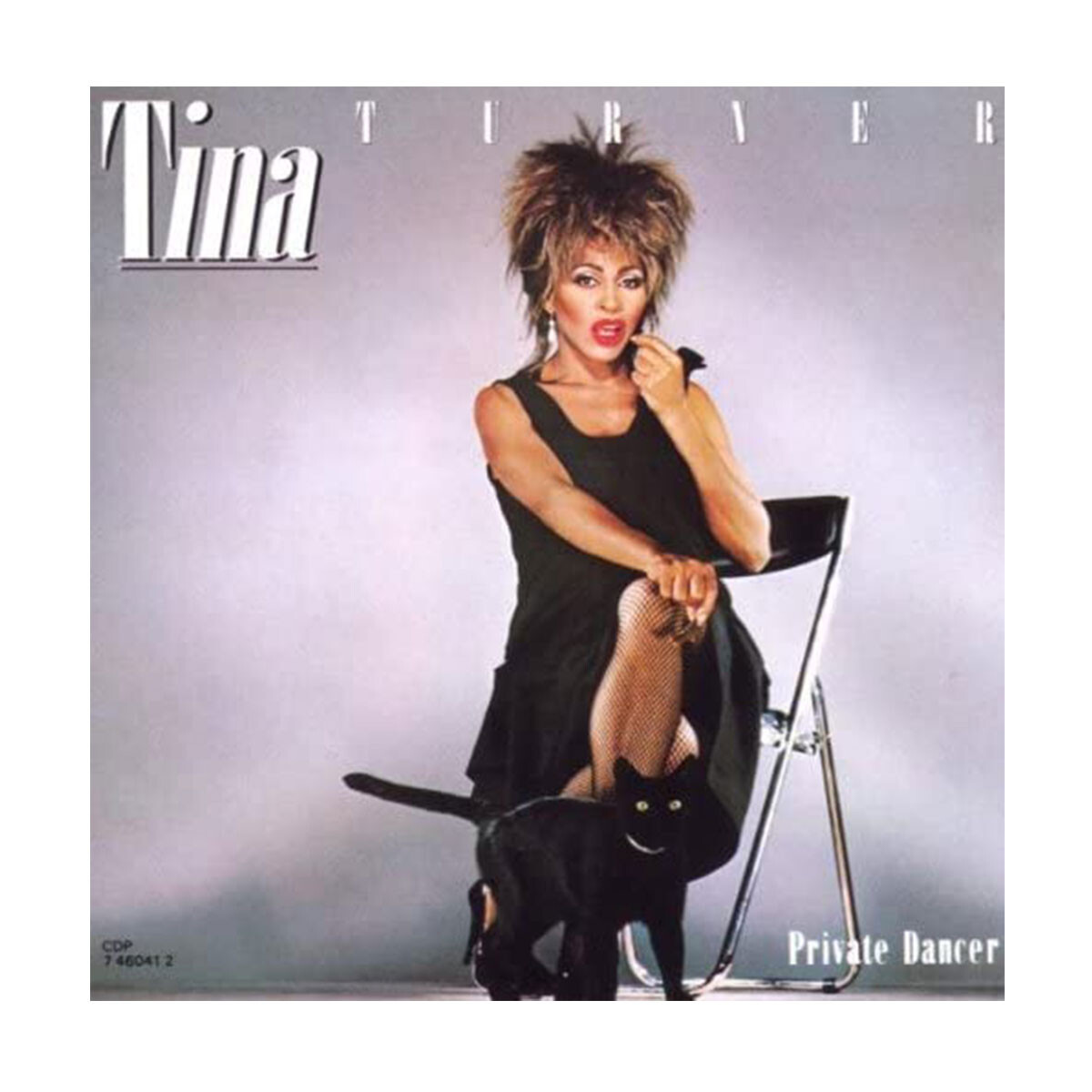 Tina Turner-private Dancer (arg) - Vinilo 