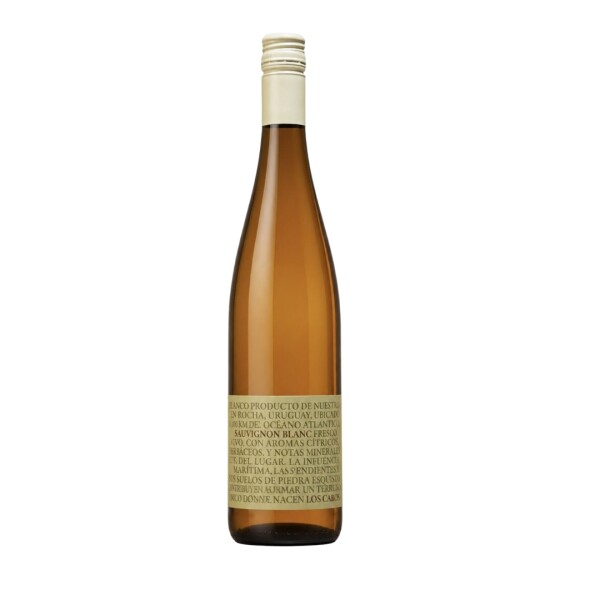 Becasina Los Cabos Sauvignon Blanc Becasina Los Cabos Sauvignon Blanc
