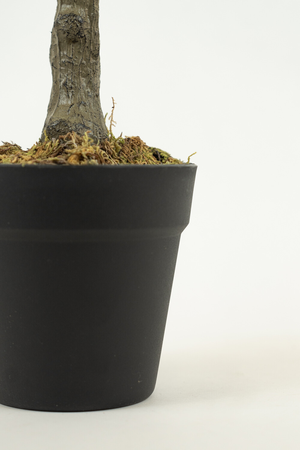 Planta White Grass 70cm Color Unico