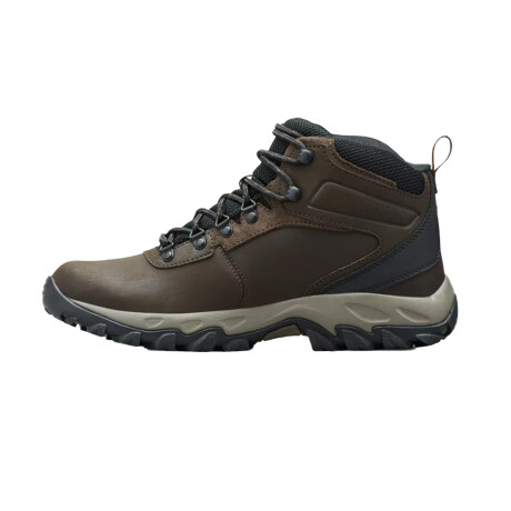 COLUMBIA NEWTON RIDEGE PLUS II Brown