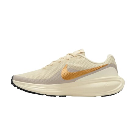 Championes Nike Revolution 8 Brown