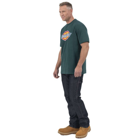 Remera Dickies Tri-Color Logo Verde