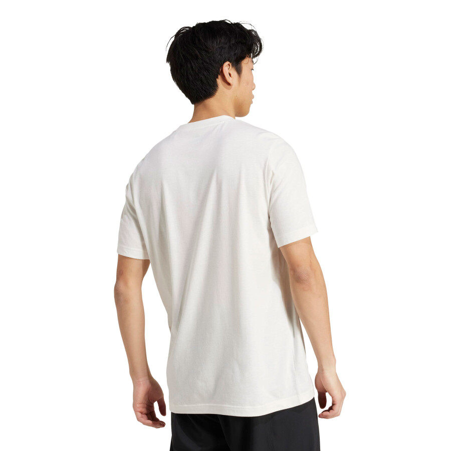 Remera de Hombre Adidas Gráfica Club Blanco - Verde