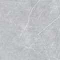 SEMIGRES PL.ALESSO GRIS POLIDO "A" 60X60 CM Semigres Pl.alesso Gris Polido "a" 60x60 Cm