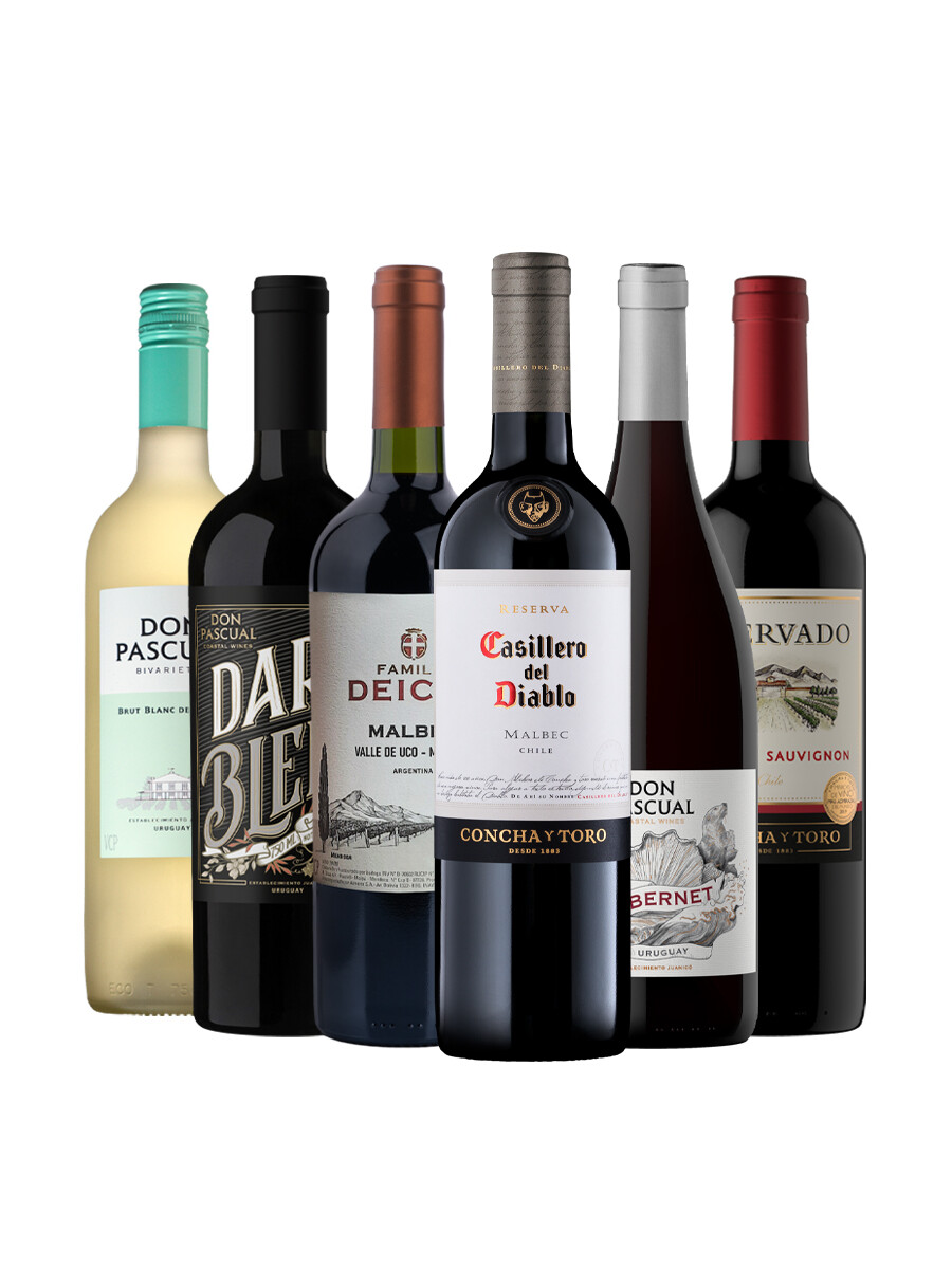 Pack Selección Best Seller de Junio x6 vinos Clásicos Pack Selección Best Seller de Junio x6 vinos Clásicos