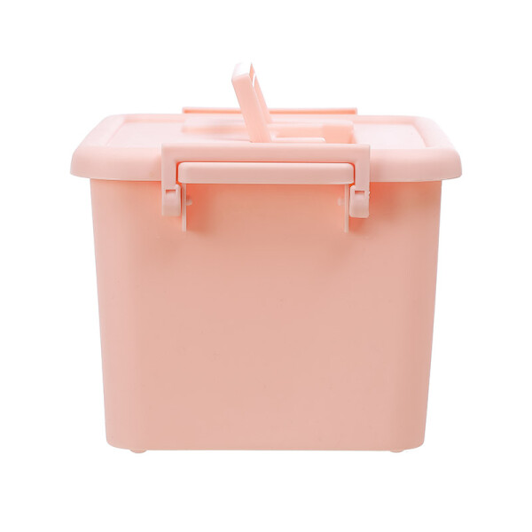 Caja organizadora con tapa Rosa