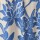 Pantalon Flor Flores Azul