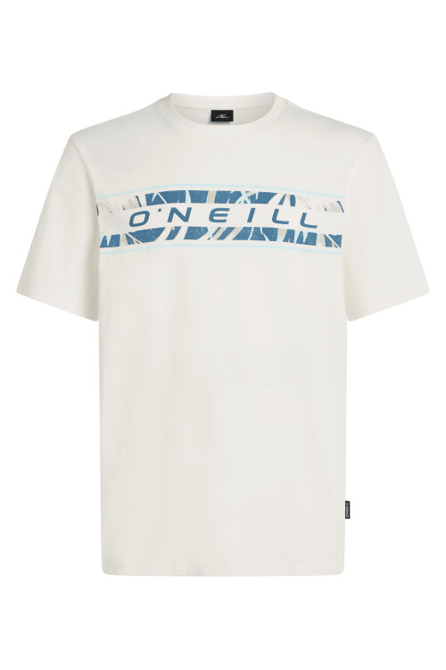 Remera O'Neill Artic Tropics Remera O'Neill Artic Tropics