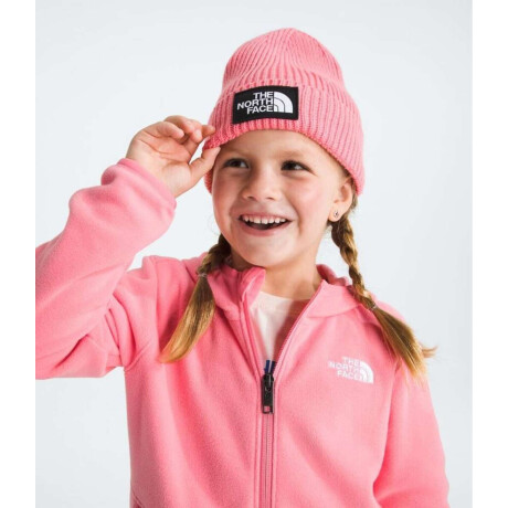 Gorro Kids Tnf Logo Box Cuffed Beanie Coral Crush