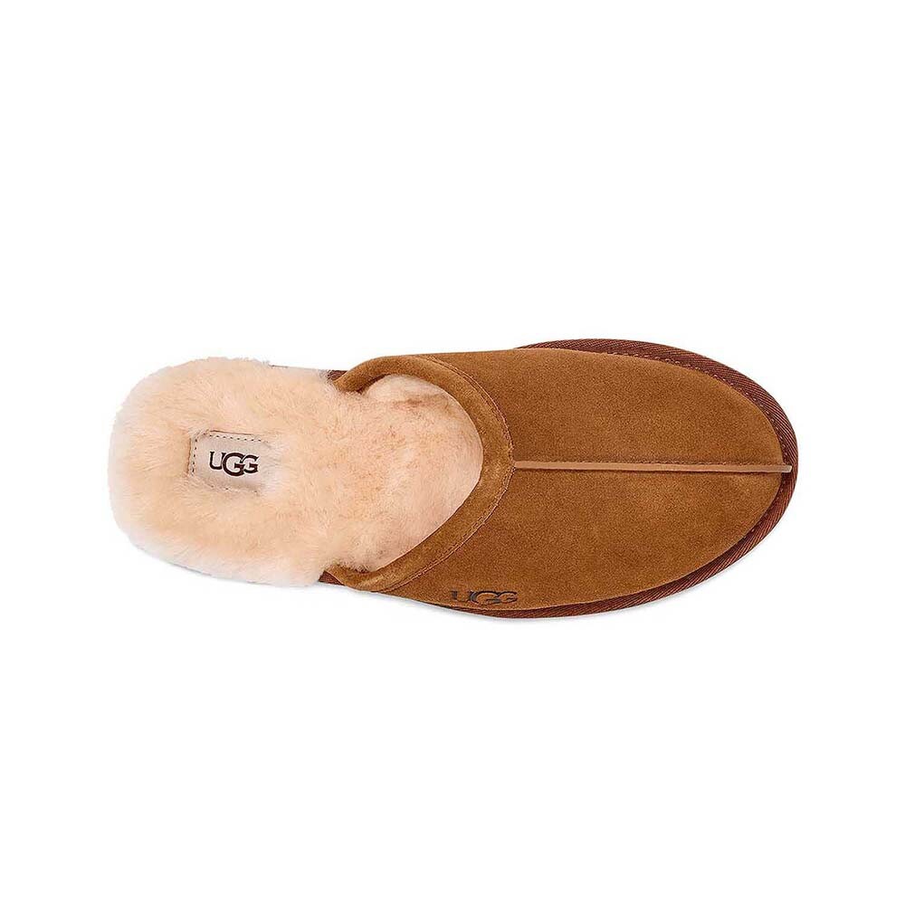 Scuff M - Hombre Chestnut