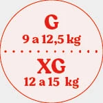 G/XG