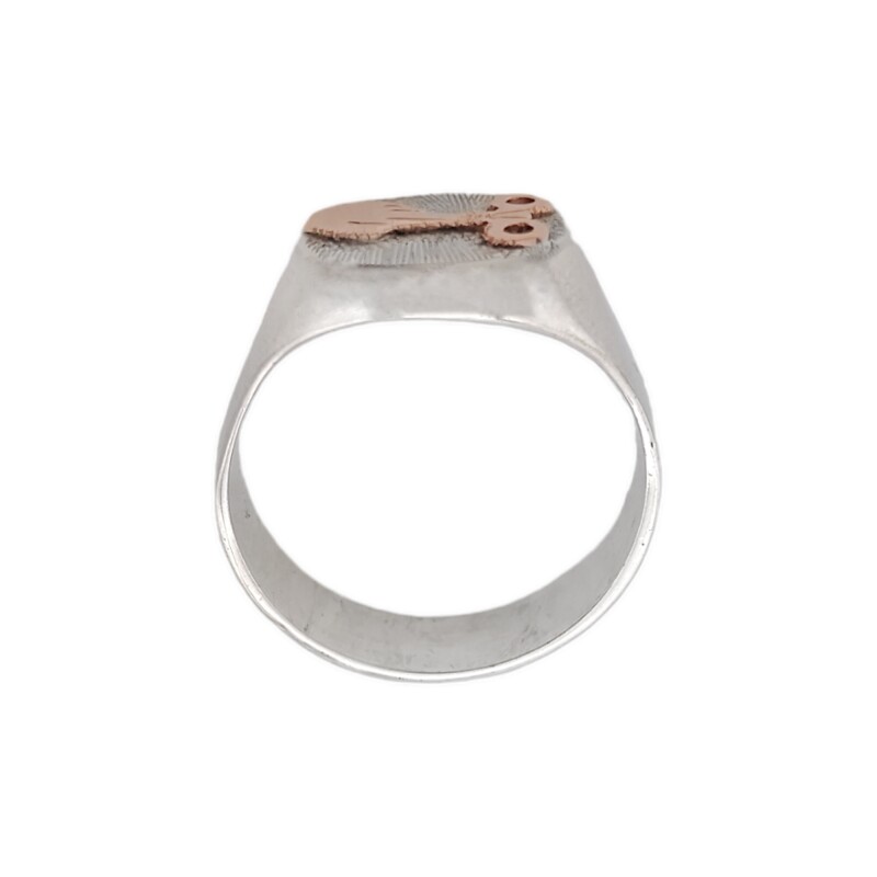Anillo Profesión Instrumentista quirurgico-Plata y Oro-Sin Piedra-AP5004 Sinpiedra