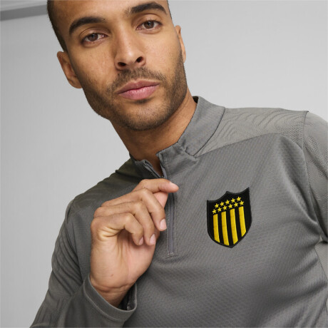 CAP Train 1/4 Zip Top 77705002 Gris
