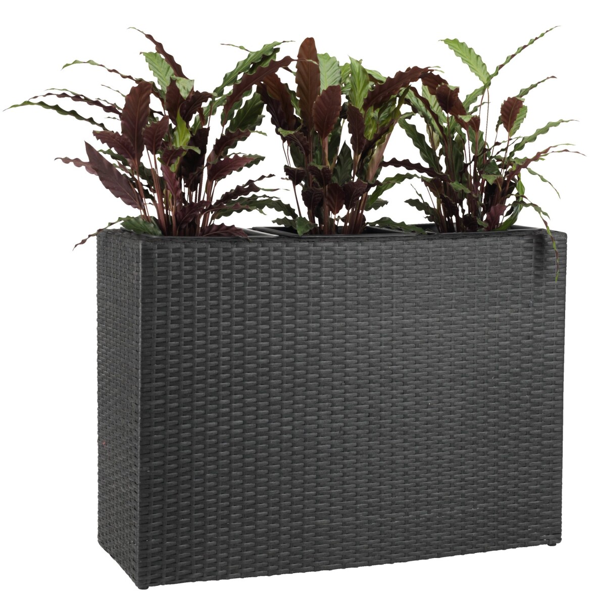 Jardinera STOKKAND A30xL83xA60 negro 