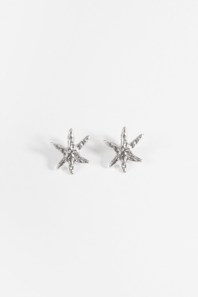 PREVENTA Caravanas clip estrellas plateado