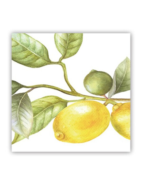 CUADRO CANVAS 30x30CM LIMONES 2 CUADRO CANVAS 30x30CM LIMONES 2