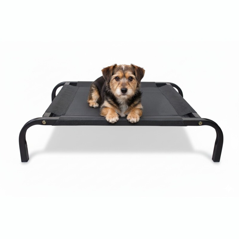 Cama para Mascota Tamaño M modelo Catrex Beepet Cama para Mascota Tamaño M modelo Catrex Beepet