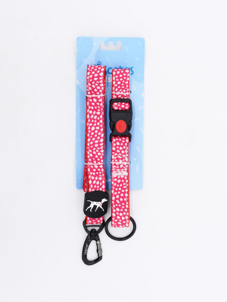 SET COLLAR CON CORREA MULTICOLOR