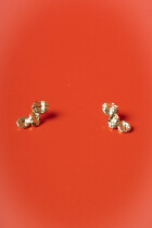 Zigi Gold