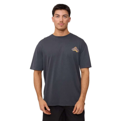 Remera Rusty Alorin Gris