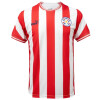 Camiseta Puma Paraguay 2023 765910V01 Camiseta Puma Paraguay 2023 765910V01