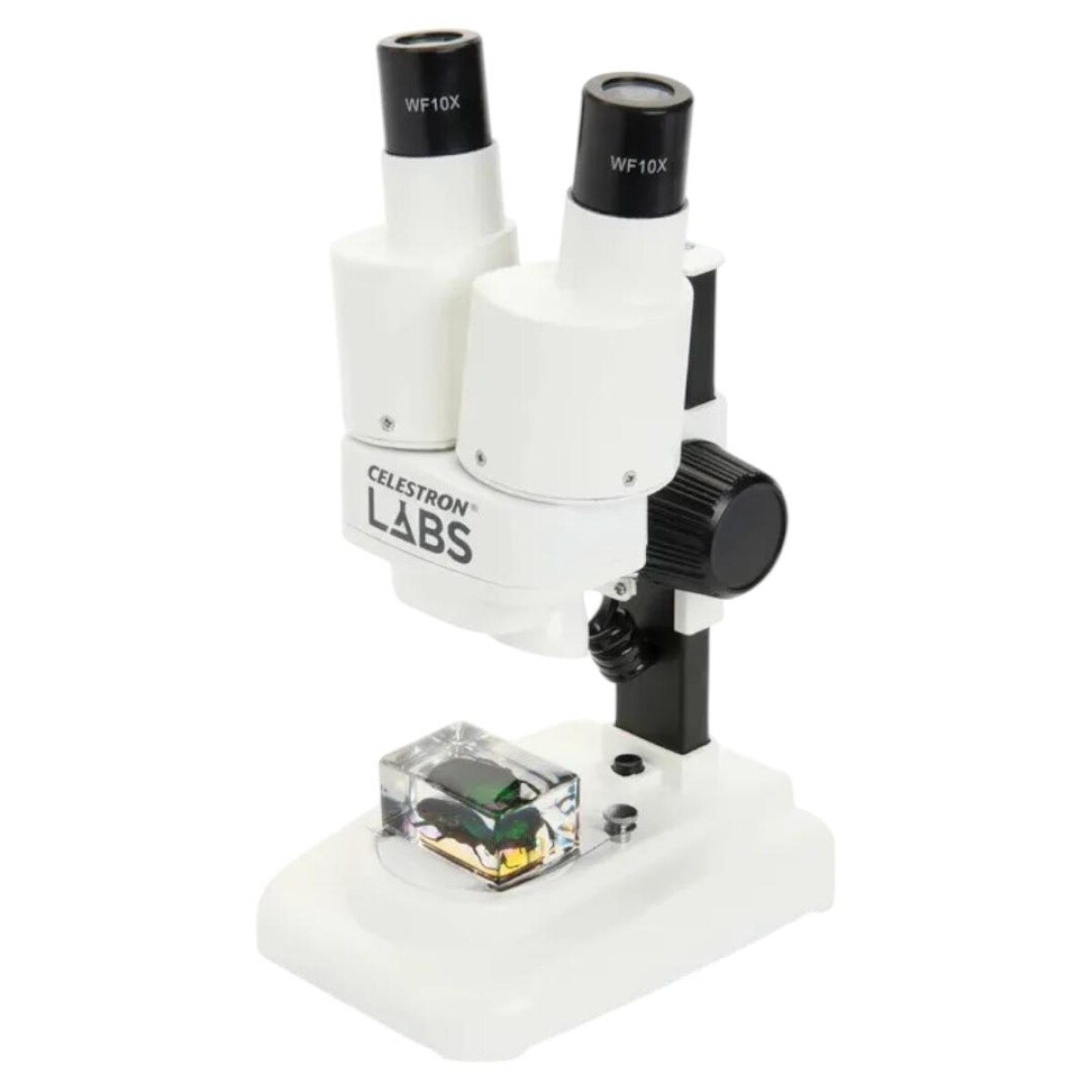 Microscopio Estereoscópico Celestron Labs S20 