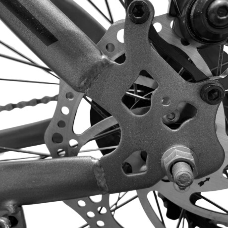 Bicicleta Montaña Expert Patriot Rodado 29 Shimano con Frenos de Disco y 21 Cambios Gris