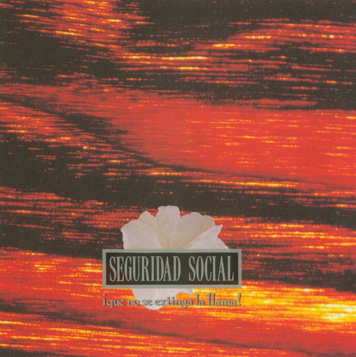 Seguridad Social Que No Se Extinga La Llama Cd+ - Vinilo 