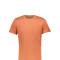 Remera Acke Terracota