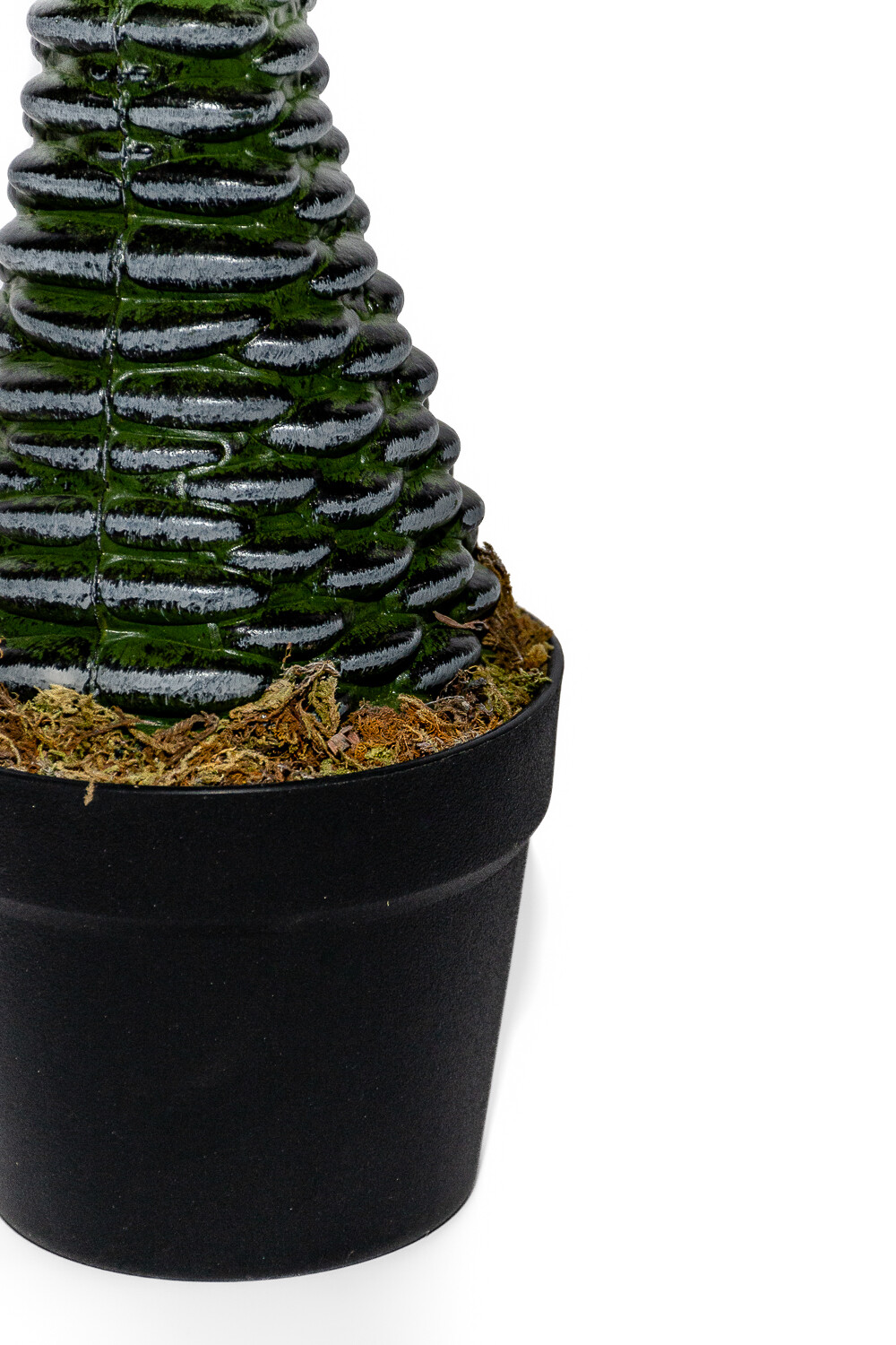 Planta Palmera Abanico 120cm Color Unico