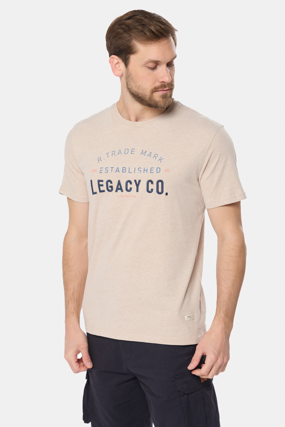 REMERA ESTAMPADA Beige