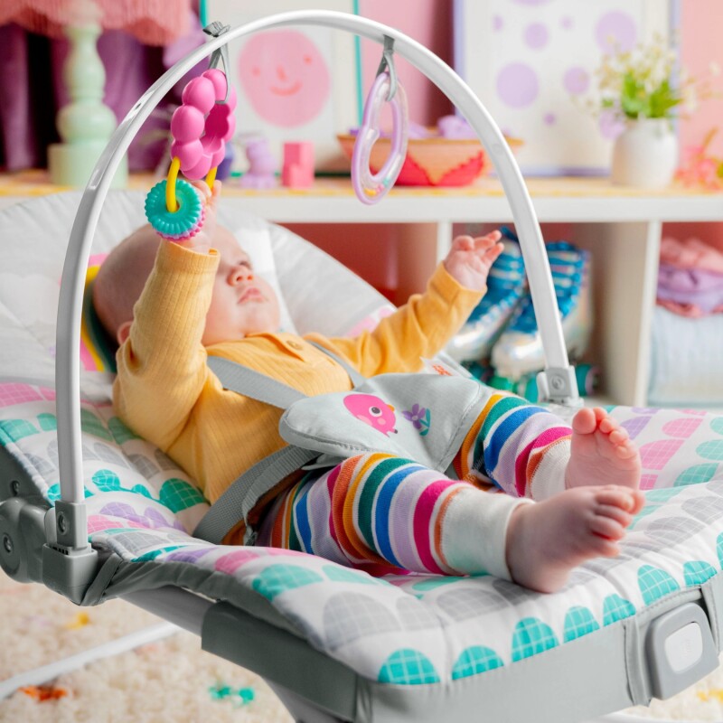 Bouncer Silla Mecedora Rosy Rainbow Bright Starts Bouncer Silla Mecedora Rosy Rainbow Bright Starts