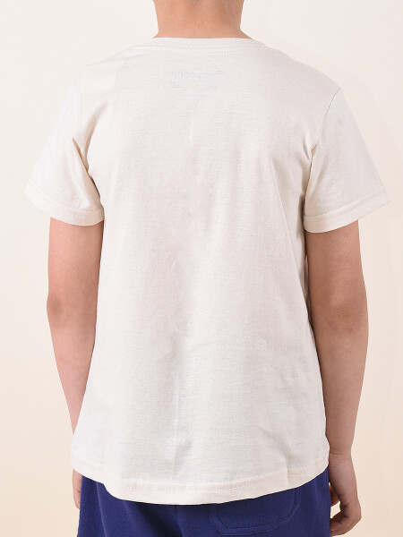REMERA CALIFORNIA ARENA