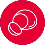 Quesos