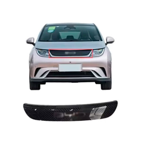 ACCESORIO EXTERIOR BYD CARETA BYD E2 NEW - ACCESORIO EXTERIOR BYD CARETA BYD E2 NEW -
