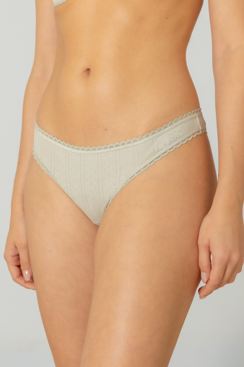 Colaless samia Gris